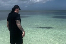 Watch: WWE Icon Undertaker Scares Away Sharks From Attacking His Wife Michelle McCool