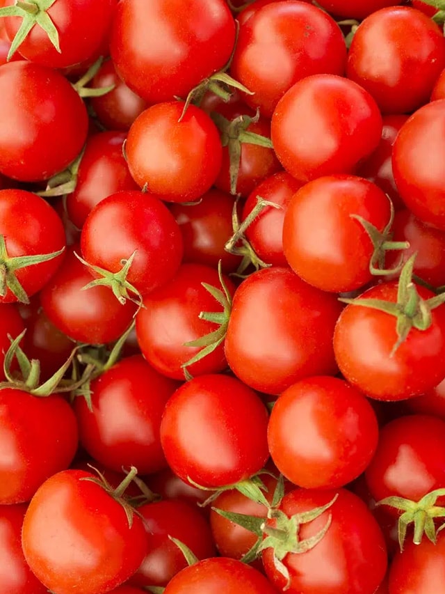 Why are Tomato Prices at an All-time High?